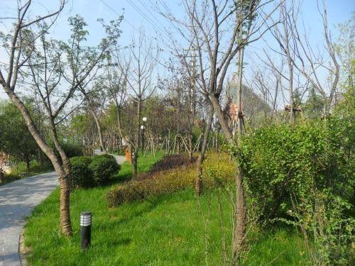 成都沙河公园吃瓜原视频,夏日街头美食狂欢