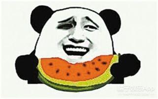 欧巴吃瓜群众视频,揭秘热门视频背后的故事与笑料