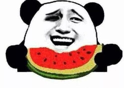 求抱抱吃瓜视频下载,畅享“求抱抱吃瓜”视频盛宴！