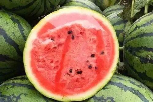 吃蜜瓜杀舌头细菌吗视频,揭秘吃蜜瓜杀舌头真相