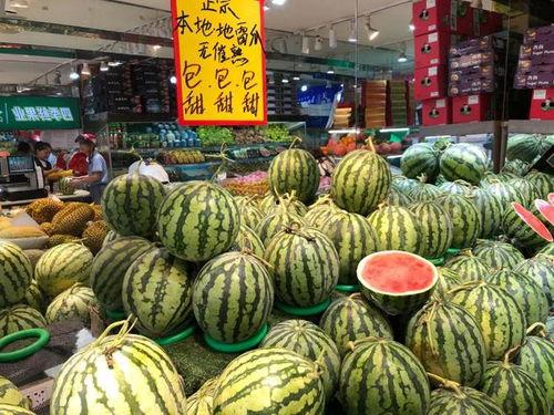 温州花店吃瓜事件视频,一场意外的网络风波揭秘