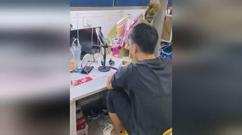 爱看演出的吃瓜少年视频,吃瓜少年带你领略爱看演出者的精彩世界