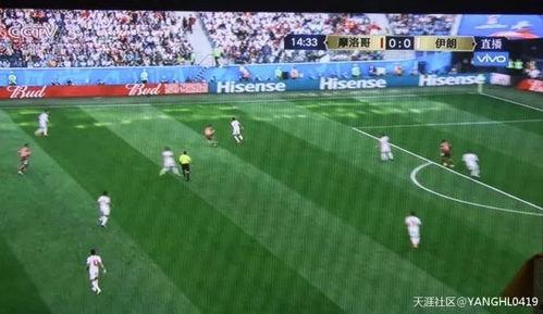 足球场上吃瓜的是谁啊视频,足球场上“吃瓜群众”的真实身份