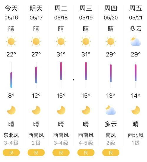 泡泡视频开启吃瓜模式,带你领略热门话题的狂欢现场