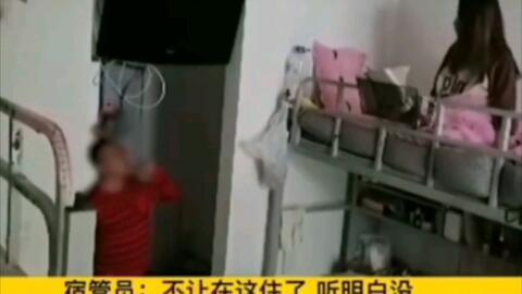 女生宿舍吃瓜吵架视频,一场吃瓜吵架视频引发的宿舍热议