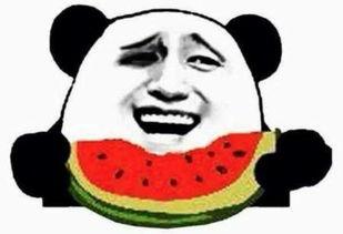 秀一下吃瓜群众视频大全,视频大全带你领略网络热点瞬间