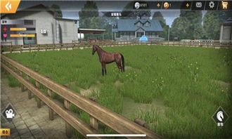 马大师吃瓜视频在线观看,揭秘娱乐圈幕后故事