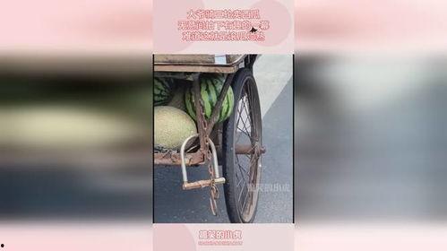 无意间拍到的一幕吃瓜视频,一场神秘吃瓜盛宴幕后揭秘