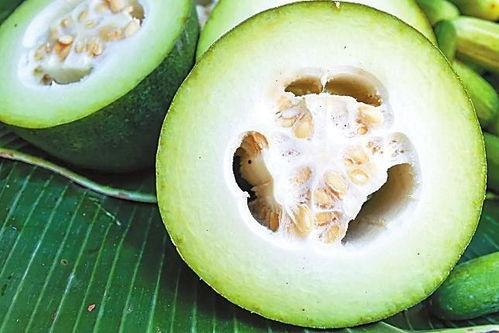 韩城最早吃瓜事件视频,揭秘最早吃瓜事件的神秘起源