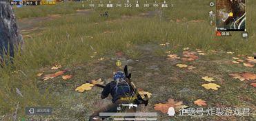 吃瓜人遇到狼人视频大全,视频大全背后的惊悚故事