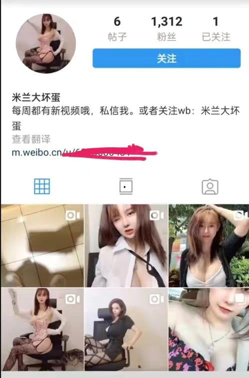 湖州直播吃瓜事件视频,一场网络争议的发酵与反思